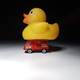 Size comparison to the rubber duckie